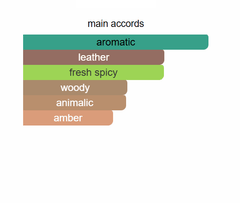 ايريش ليذر من ميمو ايريش ليذر من ميمو