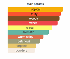 بولو بلاك  - عطر بولو بلاك  - عطر