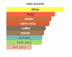 بولو  ريد  - عطر بولو  ريد  - عطر